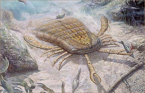 Silurian Period