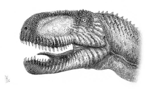 Abelisaurus comahuensis