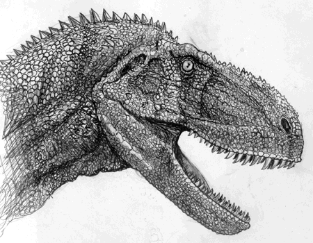 Abelisaurus comahuensis