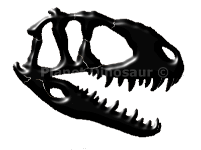 Abelisaurus comahuensis