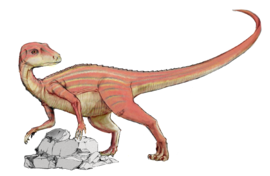 Abrictosaurus consors