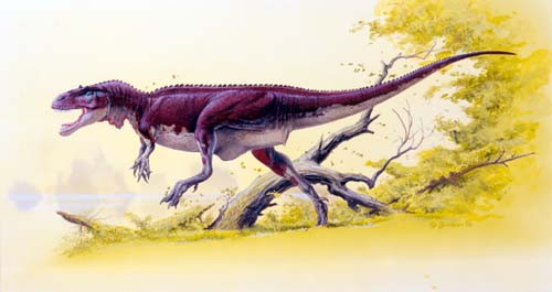 Afrovenator Dinosaur