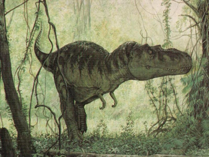 albertosaurus-gorgosaurus_libratus.jpg