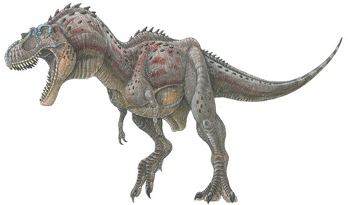 Albertosaurus sarcophagus