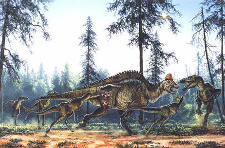 Albertosaurus