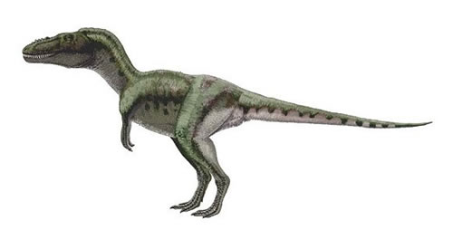 Alioramus Dinosaur