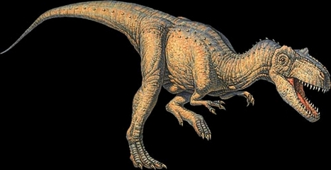 Allosaurus fragilis