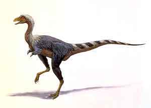 Alvarezsaurus calvoi
