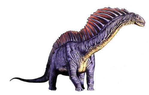 Amargasaurus