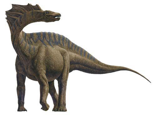 Amargosaurus