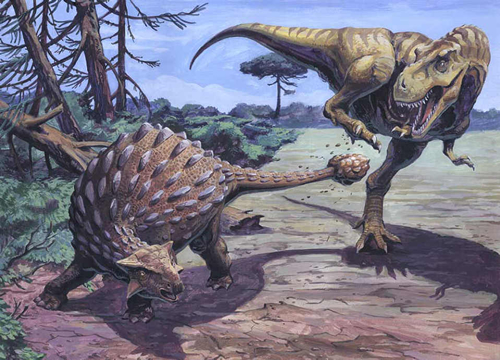 Ankylosaur & Tyrannosaurus rex