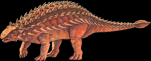 Ankylosaurus