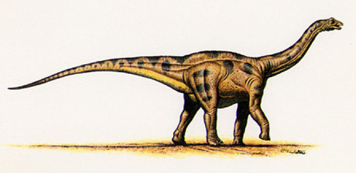 Apatosaurus ajax