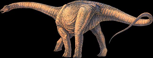 Argentinosaurus Dinosaur - Long Neck Dinosaurs