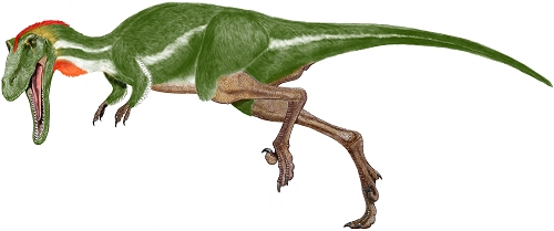 Austraptor