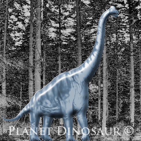 B rachiosaurus altithorax