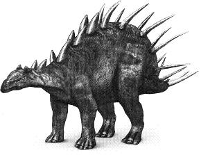 Dacentrurus Dinosaur