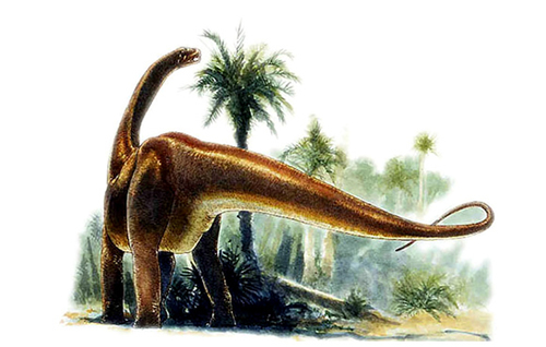 Datousaurus bashanensis