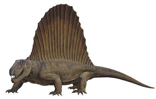 Dimetrodon