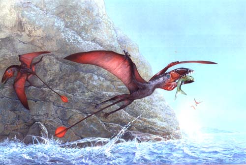 Dimorphodon weintraubi 