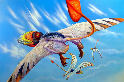 Dimorphodon weintraubi 