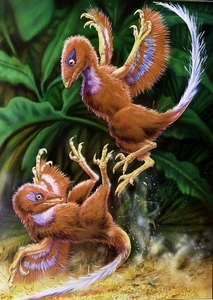 Dromaeosaur