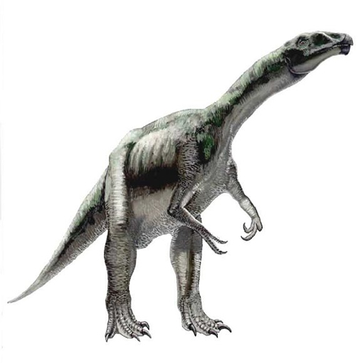 Erlicosaurus andrewsi