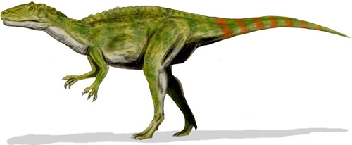 Fukuiraptor kitadaniensis