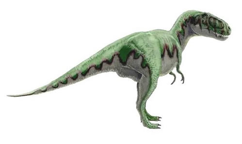 Gorgosaururs libratus