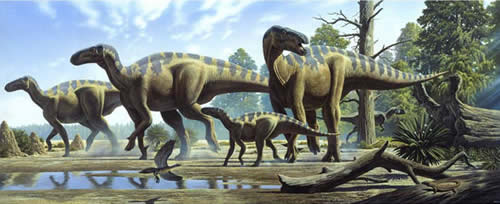 Iguanodon bernissartensis