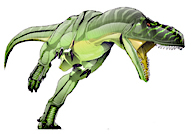 Indopsaurus matelyi