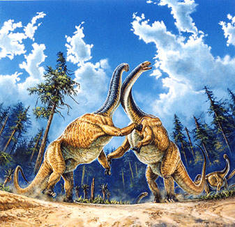 Jobaria Dinosaur 
