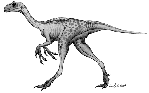 Kakuru kujani - Australian Dinosaurs