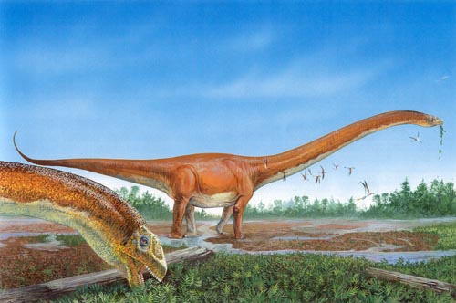 Mamenchisaurus constructus