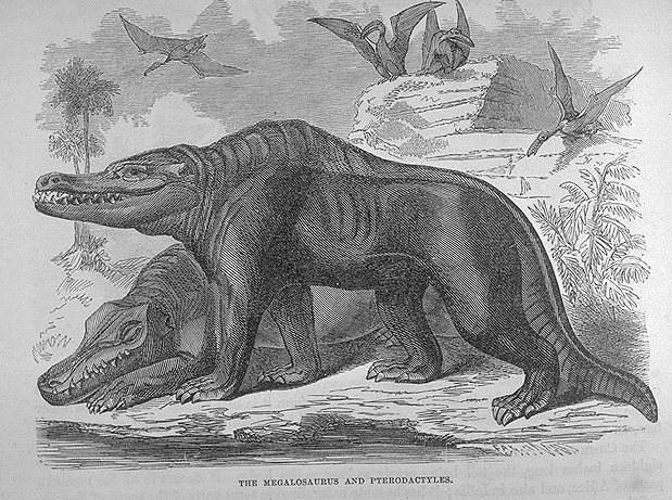 Megalosaurus bucklandii 