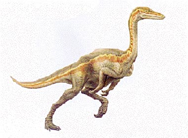 Ornithomimus velox