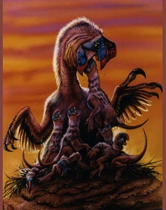 Oviraptor mongoliensis