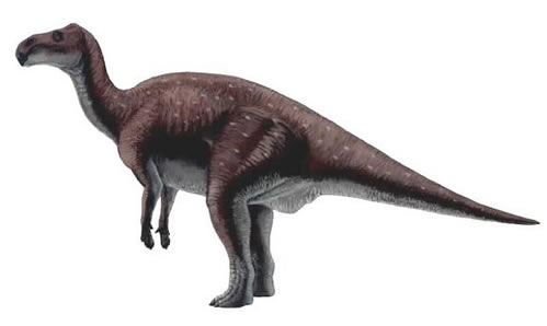 Probactrosaurus alashinicus