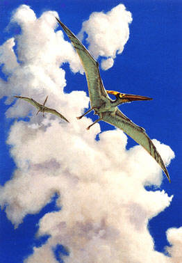 Pteranodon