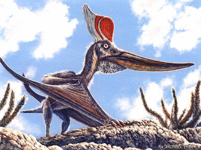 Pteradon sternbergi