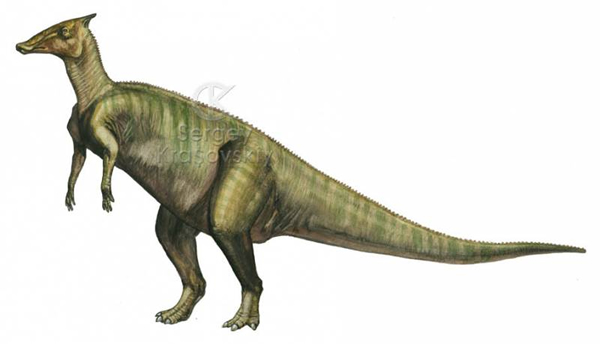 Sergey Krasovskiy Saurolophus Planet Dinosaur. planetdi.startlogic.com. 