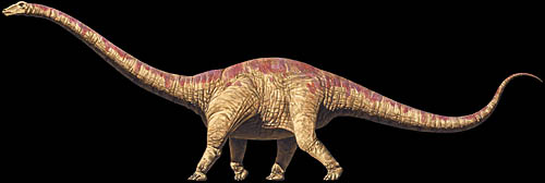 Seismosaurus Dinosaur