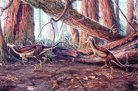 Sinosauropterx prima
