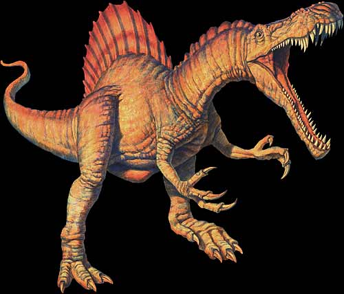 Spinosaurus Dinosaur -  Large Carnivores