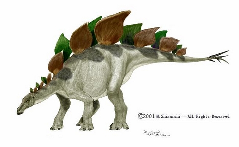 Stogosaurus