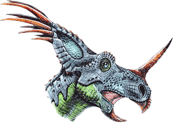 Styracosaurus albertensis  Head