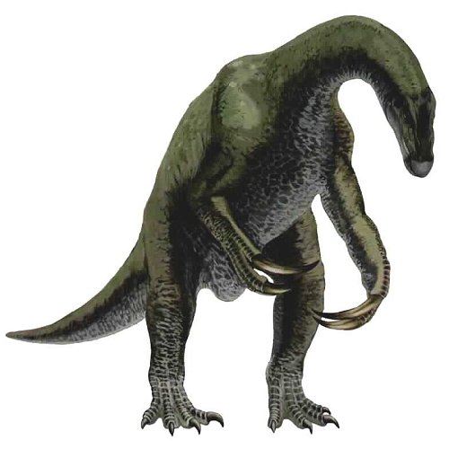 Therinosaurus cheloniformes