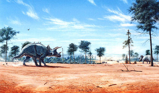 Triceratops horridus