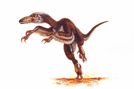 Velociraptor Dinosaur 