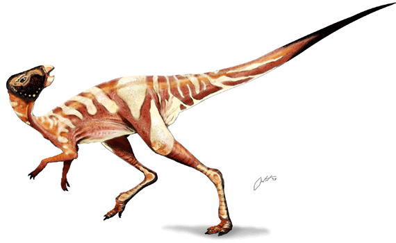 Wannanosaurus yansiensis